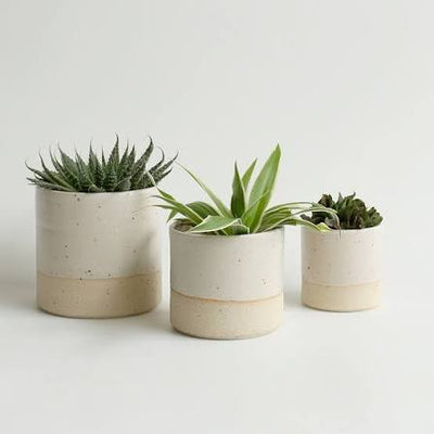 Herb Planter